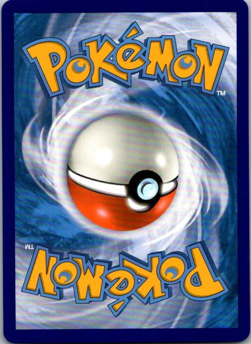 Charizard V SWSH050 SWSH Black Star Promo Holo Pokémon Card NM back