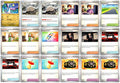 Scarlet & Violet 151 Pokémon Card Lot – Commons & Uncommons #3 – 18 Cards NM